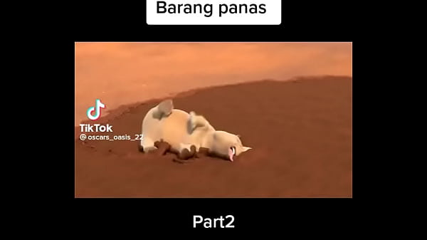 The appreciation for cartoons