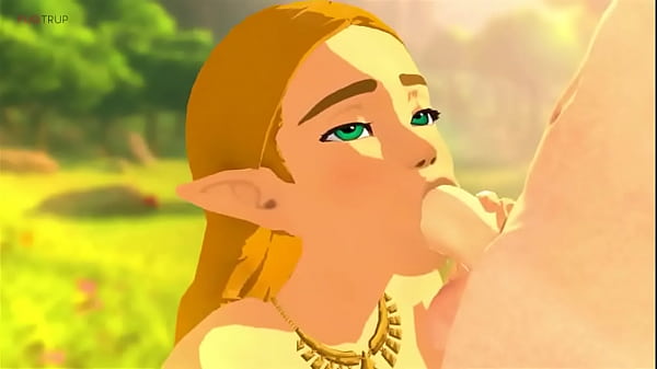 Zelda provides Cock sucking in BOTW