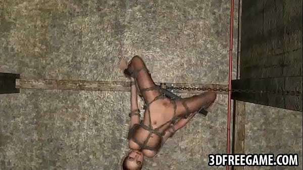 Tied up upwards 3D anime hottie h. from the ceiling