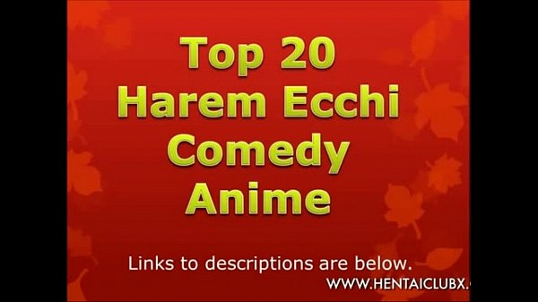 follower solution hot Leading 20 Harem Ecchi Anime With Nudity 2013