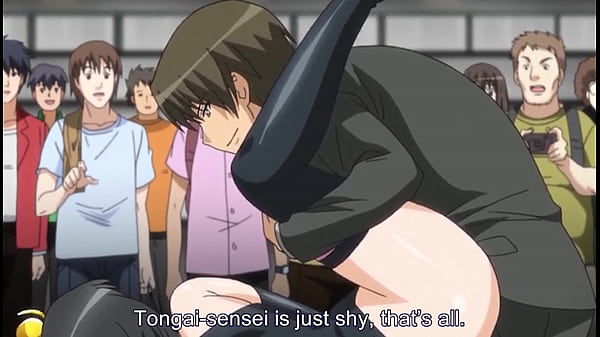 man created a  bitch harem in hentai producing organization