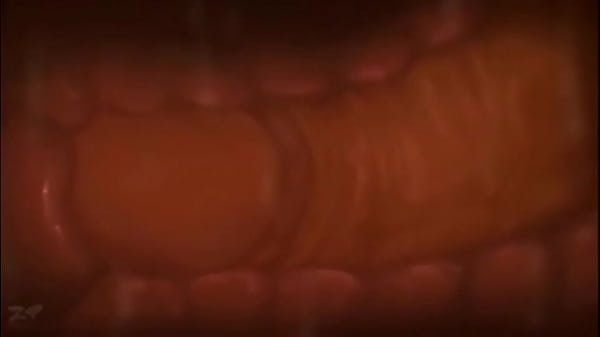 what {is|try|are{was,} anime?