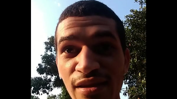 Os animais são lindos