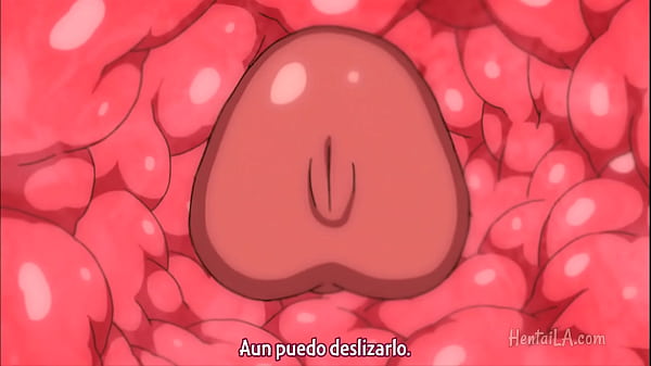 Sei Brunehilde Gakuen Shoujo Kishidan to Junpaku no Panty The Cartoon: Episodio 1